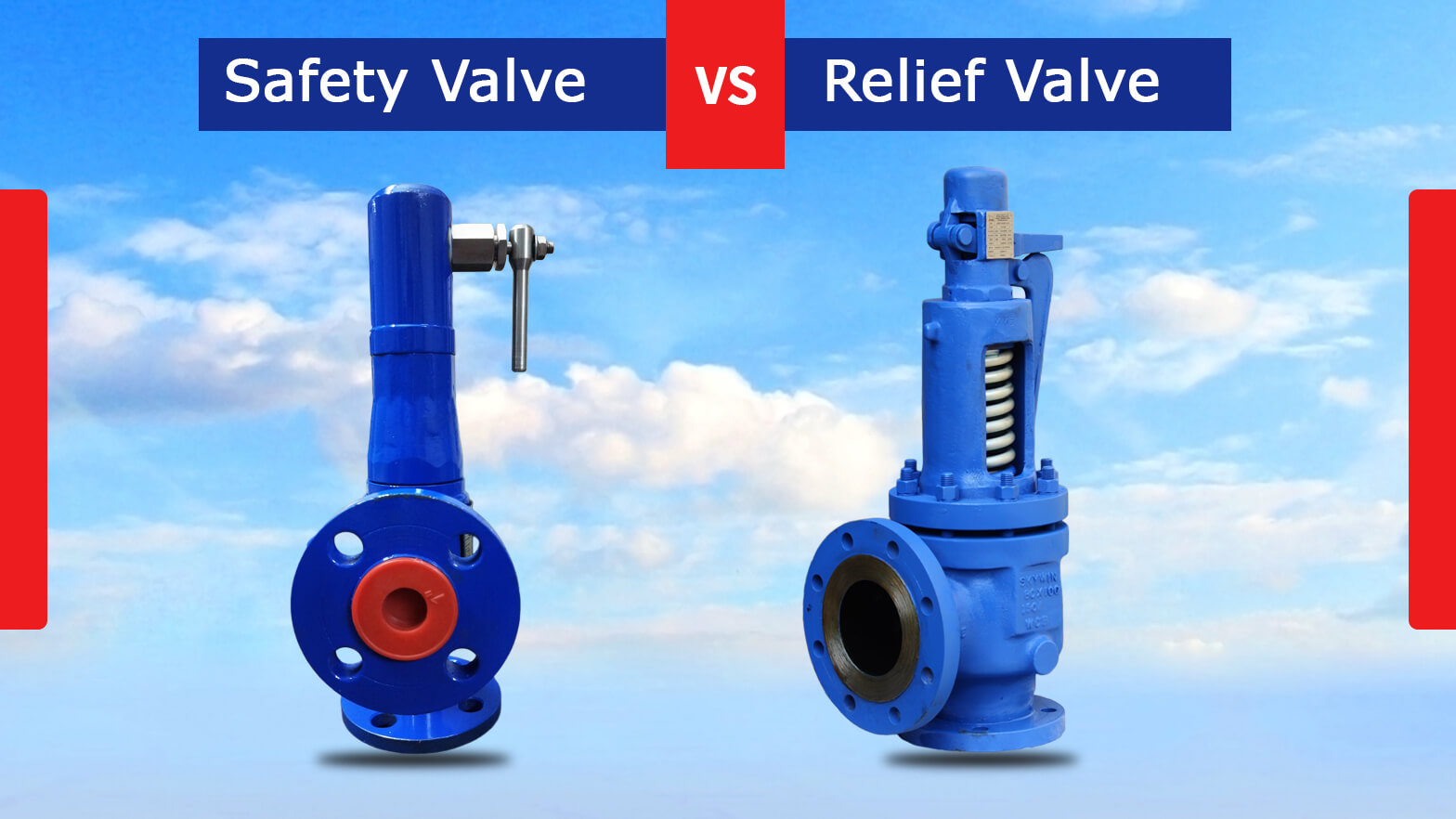 Safety Valve vs Relief Valve