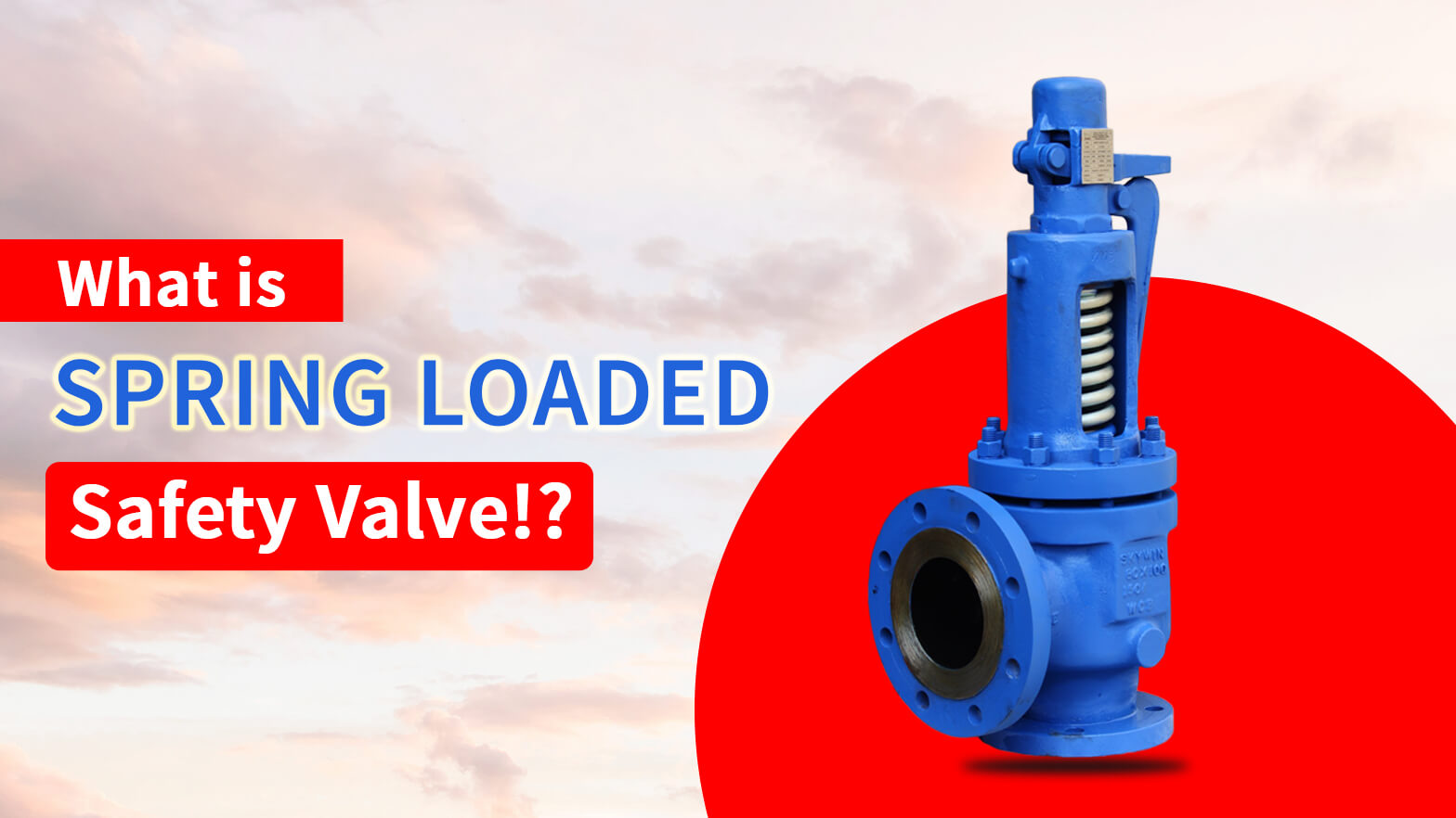 What is Spring Loaded Safety Valve ?